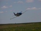 P-51 60 ARF Blue Nose